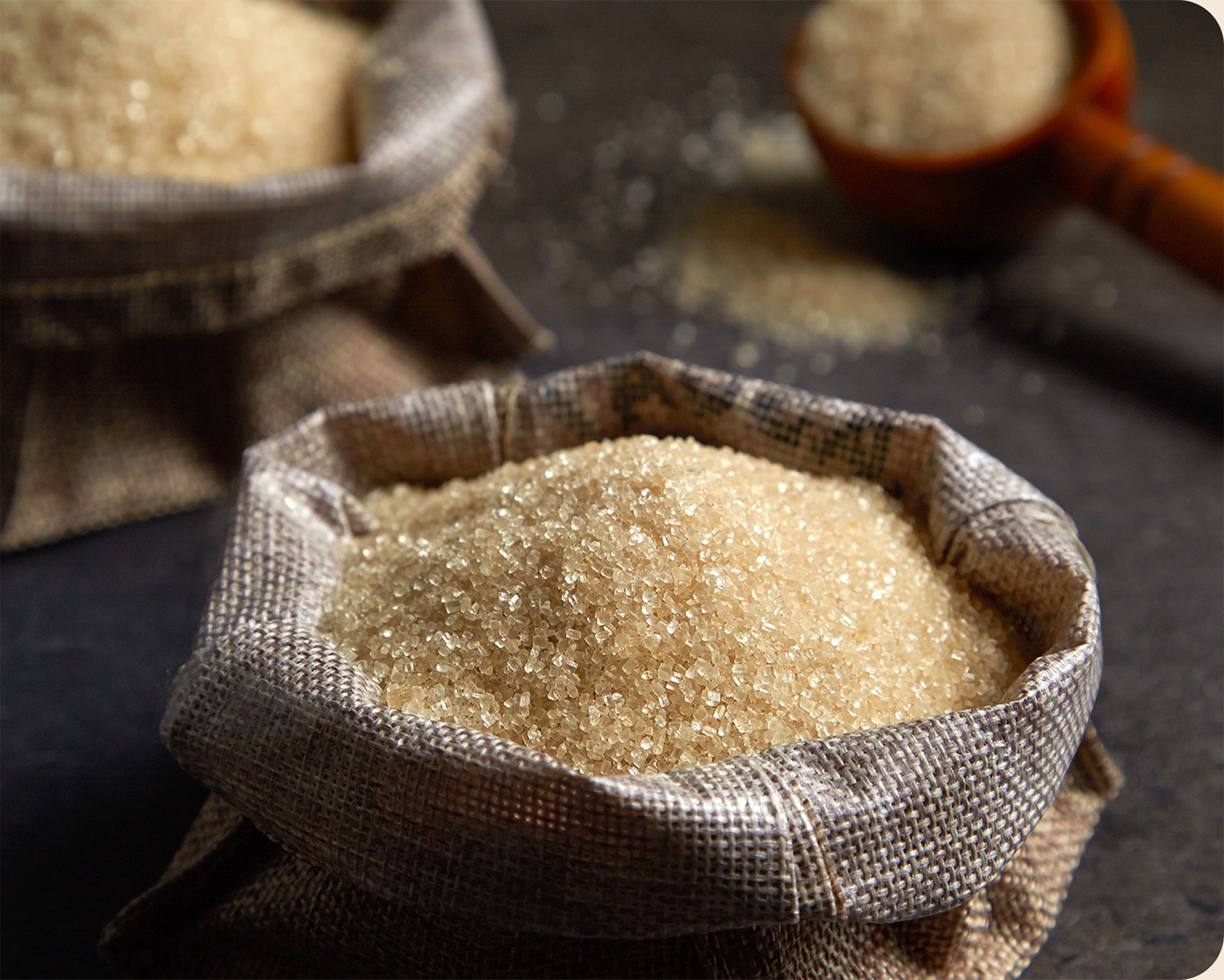cane sugar